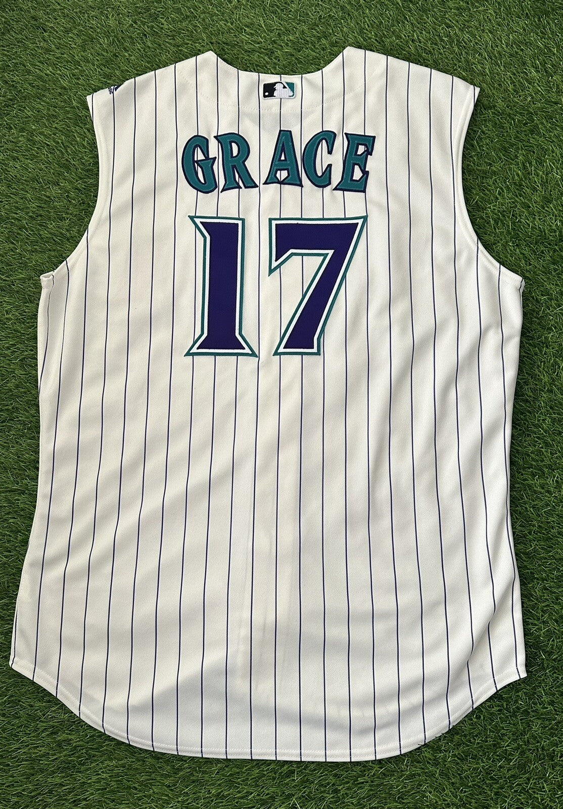 Mark Grace Arizona Diamondbacks Game Used Worn Jersey 2016 MLB Auth