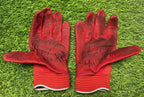 Jose Ramirez Cleveland Guardians Game Used Custom BG’s Signed 2024 GUG LOA