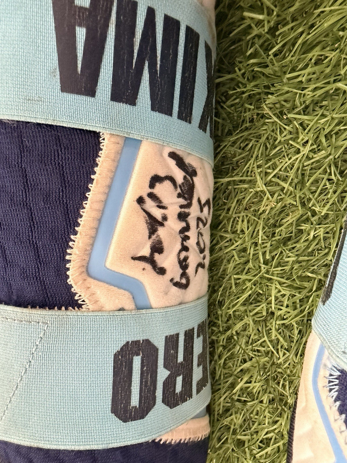 Junior Caminero Game-Used & Signed 3 Piece Protector Set – 2025 GUG LOA