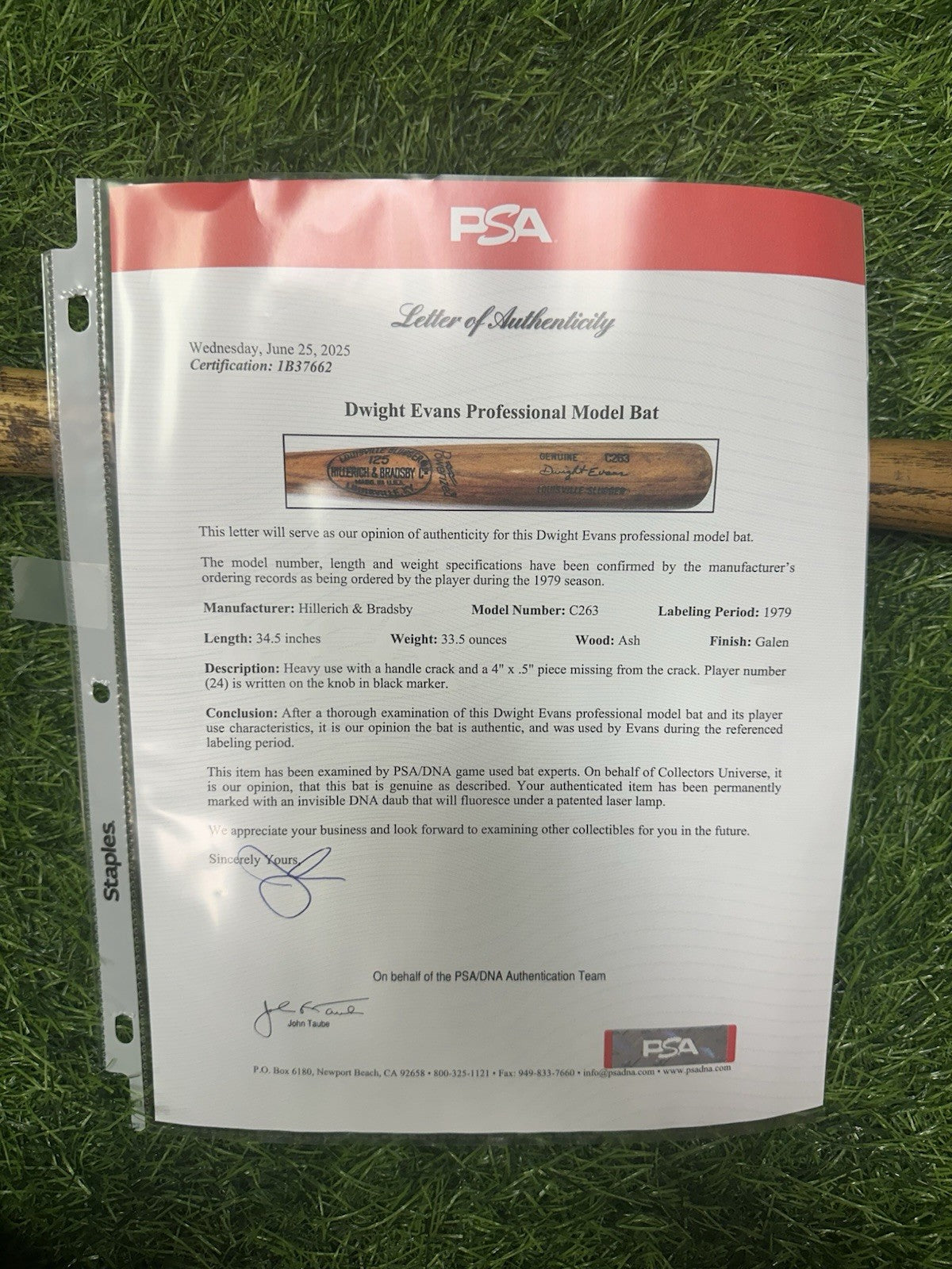 Dwight Evans Boston Red Sox Game Used Bat 1979 PSA/ DNA LOA