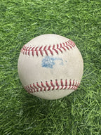 Mookie Betts 2020 NLCS Game 7 Robbed HR Baseball – Hit by Freddie Freeman  MLB