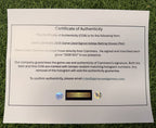 Junior Caminero Game-Used & Signed Adidas Yellow Batting Gloves – 2026 GUG LOA
