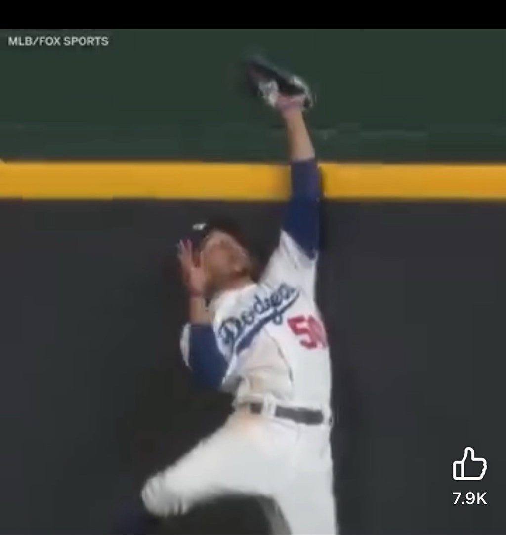 Mookie Betts 2020 NLCS Game 7 Robbed HR Baseball – Hit by Freddie Freeman  MLB