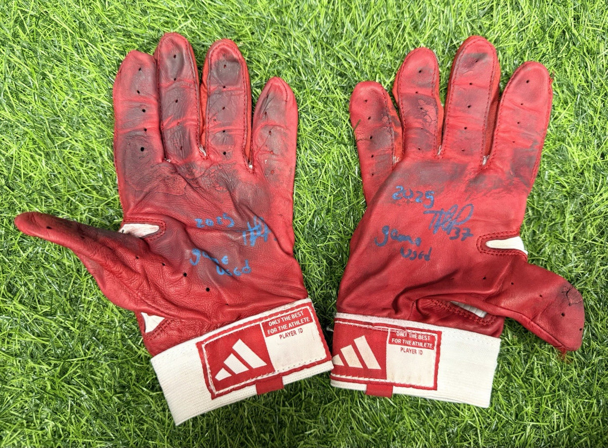 Teoscar Hernandez Los Angeles Dodgers Game Used Batting Gloves 2025 GUG LOA