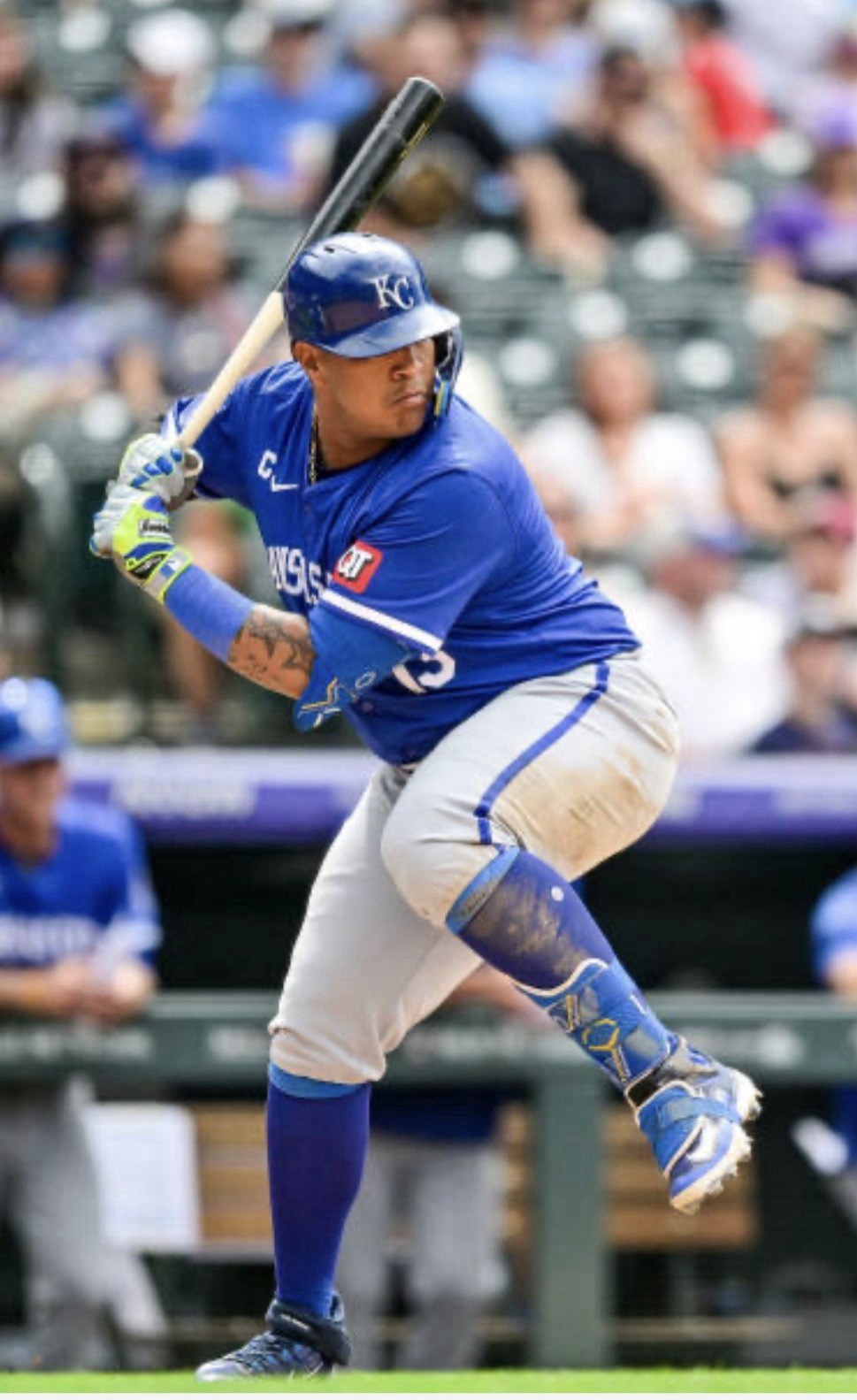 Salvador Perez Game Used Evoshield Shin Elbow Set Photo Matched 2024 GUG LOA